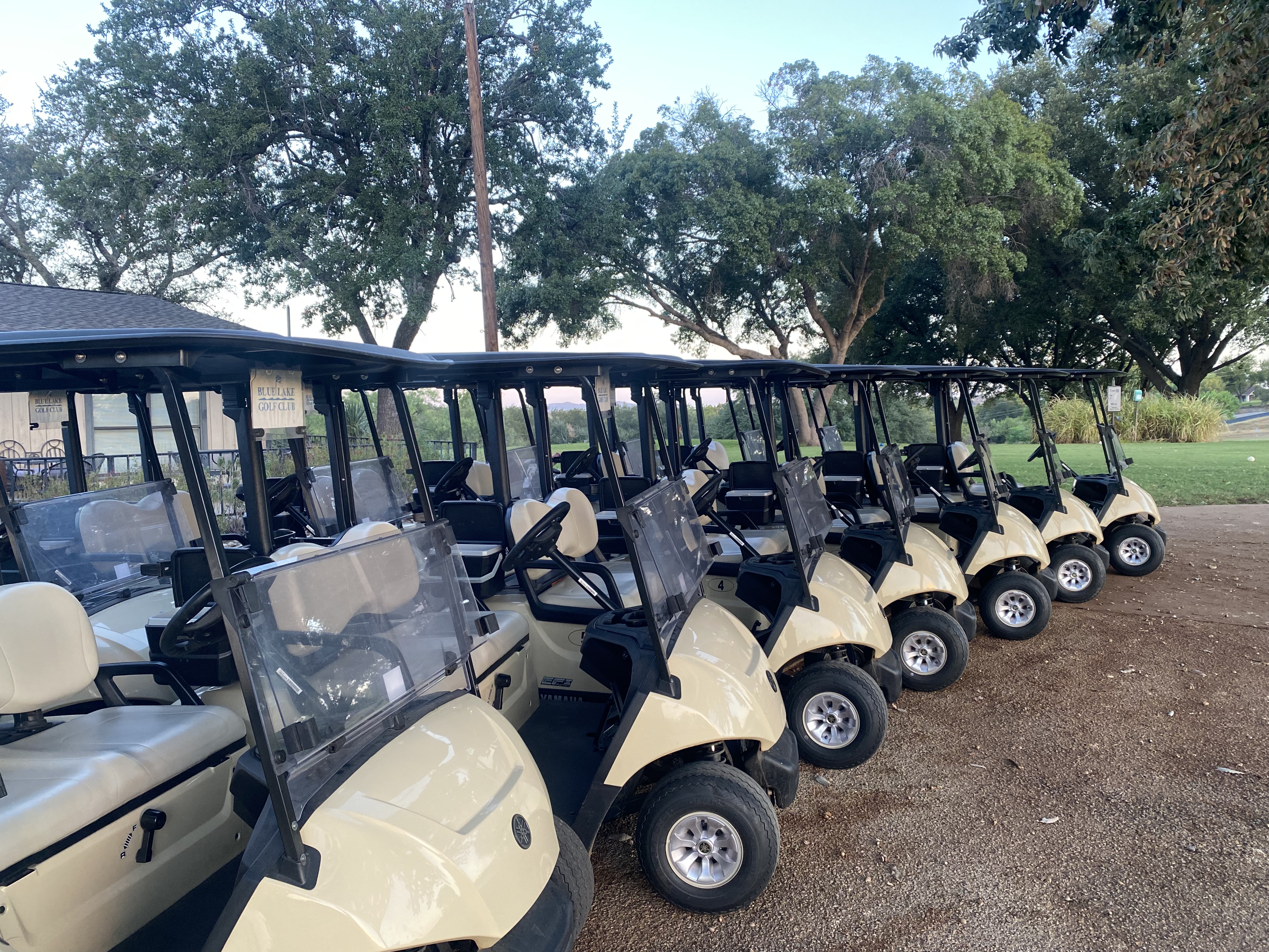 Row of golf carts